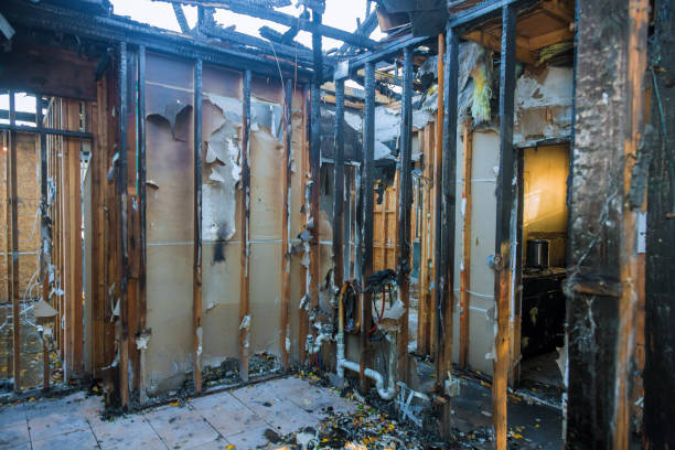 Professional Fire Damage Removal technician working in Escatawpa, MS